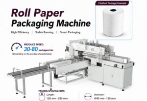 Automatic Roll Film Wrapping Machine with Delta High Resolution Servo Filling Function for Plastic Bags Packaging